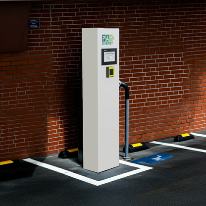 PE 250 PayEnergy Centralized Indoor/Outdoor Pay Stand