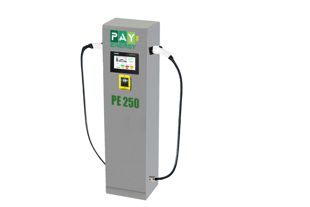 PE250A - PayEnergy Dual Level2 Pay Stand
